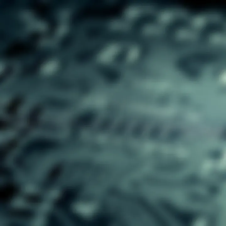 Circuit schematic displaying a digital converter design used for transforming binary inputs into Gray code outputs